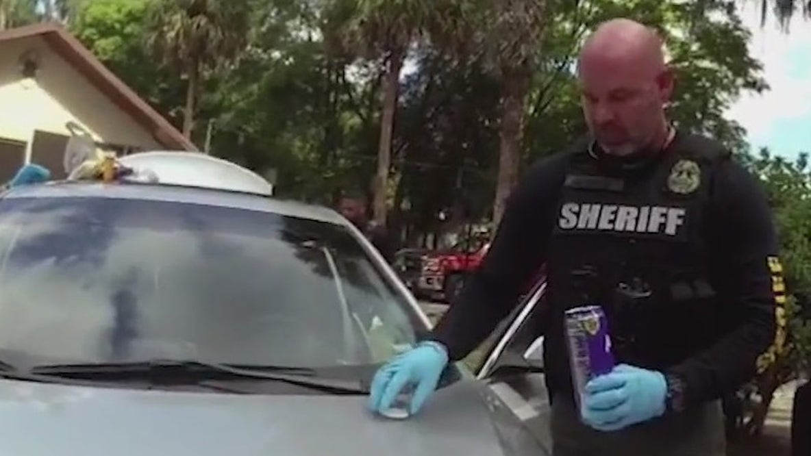 16 arrested in massive drug bust in Volusia County, deputies said